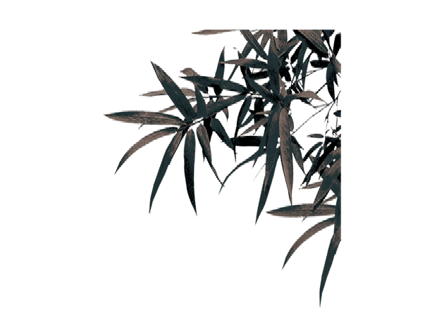 中国风水墨画黑白竹子图片